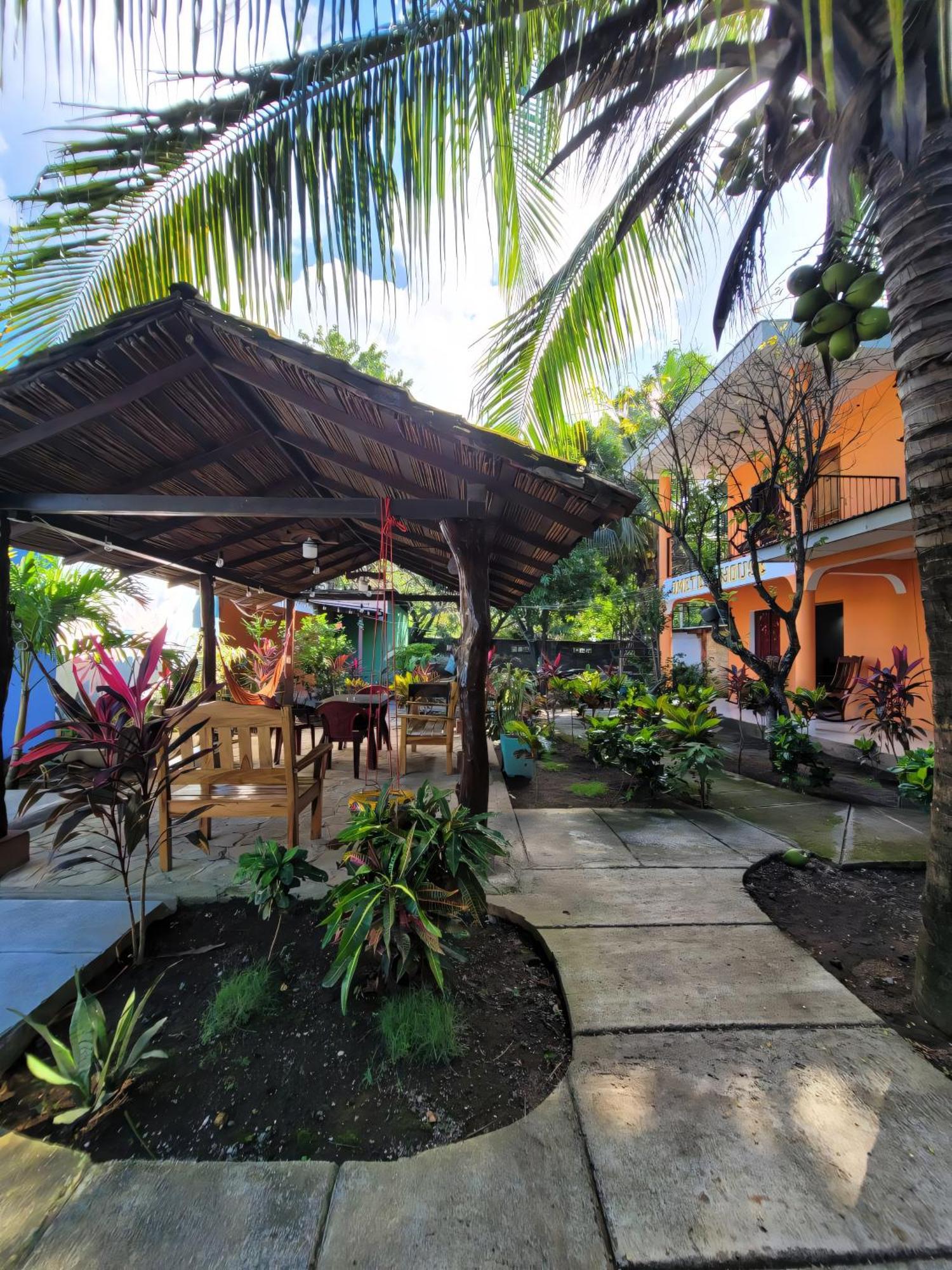 莫约加尔帕Ometepe House住宿加早餐旅馆 外观 照片